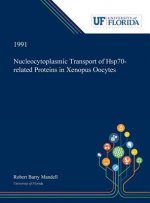Nucleocytoplasmic Transport of Hsp70-related Proteins in Xenopus Oocytes