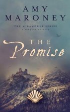 Promise