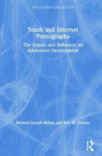Youth and Internet Pornography
