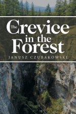 Crevice in the Forest