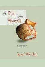 Pot From Shards