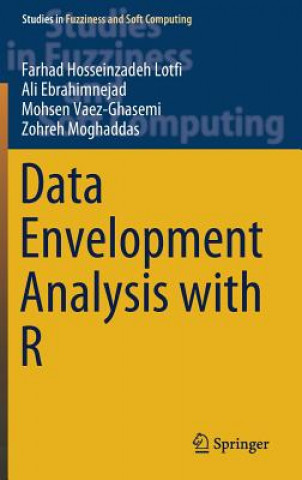 Data Envelopment Analysis with R