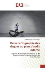 De la cartographie des risques au plan d'audit interne