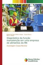 Diagnóstico da funç?o manutenç?o em uma empresa de alimentos do RN