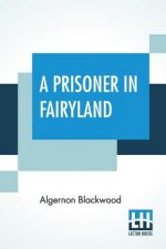 Prisoner In Fairyland