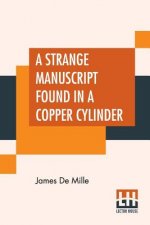 Strange Manuscript Found In A Copper Cylinder