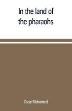 In the land of the pharaohs