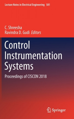 Control Instrumentation Systems