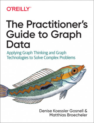 Practitioner's Guide to Graph Data