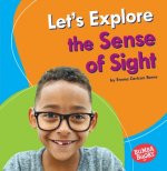 Let's Explore the Sense of Sight