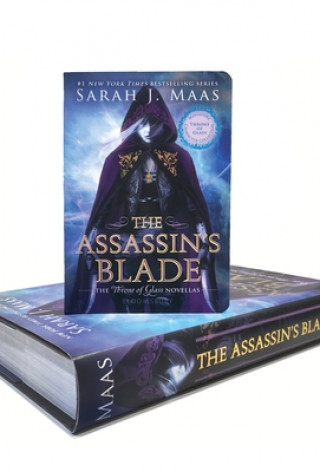 Assassin's Blade (Miniature Character Collection)
