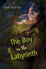 BOY IN THE LABYRINTH