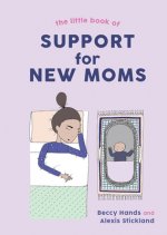 Little Book of Support for New Moms