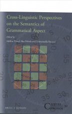 Cross-Linguistic Perspectives on the Semantics of Grammatical Aspect