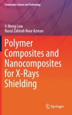 Polymer Composites and Nanocomposites for  X-Rays Shielding