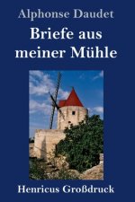 Briefe aus meiner Muhle (Grossdruck)