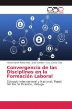 Convergencia de las Disciplinas en la Formación Laboral