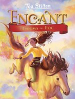 L'ENIGMA DEL FOC
