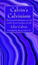 Calvin's Calvinism