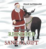 Ordinary Reindeer and Santa's Gift