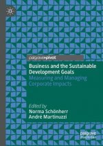 Business and the Sustainable Development Goals