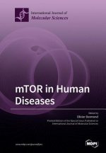 mTOR in Human Diseases