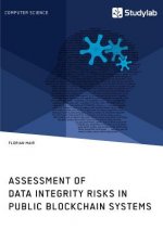 Assessment of Data Integrity Risks in Public Blockchain Systems