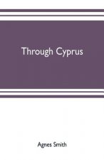 Through Cyprus