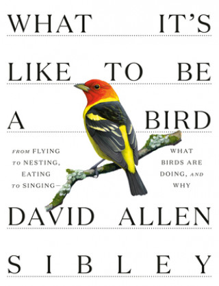 What It's Like to be a Bird (David Allen Sibley)(Pevná)