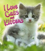 I Love Cats and Kittens