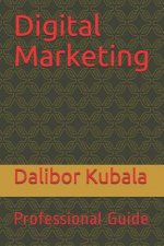 Digital Marketing: Professional Guide