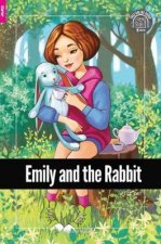 Boy and the Wizard - Foxton Reader Starter Level (300 Headwords A1) with free online AUDIO