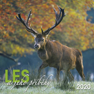 Les a jeho příběhy 2020 - nástěnný kalendář