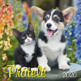 Přátelé 2020 - nástěnný kalendář