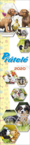 Přátelé 2020 - nástěnný kalendář