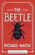 Beetle