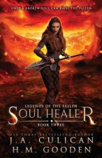 Soul Healer