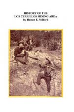 History of the Cerrillos Mining Area