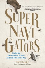 Supernavigators: Exploring the Wonders of How Animals Find Their Way