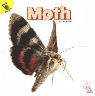 Moth