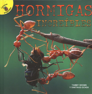 Hormigas Increíbles: Amazing Ants