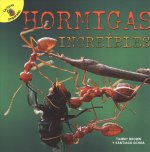 Hormigas Increíbles: Amazing Ants