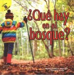 ?Qué Hay En El Bosque?: What's in the Woods?