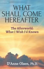 What Shall Come Hereafter: The Afterworld: What I Wish I'd Known