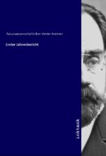 Erster Jahresbericht