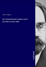 Der Freiheitskampf in Baden und in der Pfalz im Jahre 1849