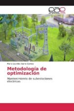Metodología de optimización