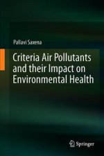 Criteria Air Pollutants and their Impact on Environmental Health
