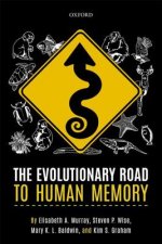 Evolutionary Road to Human Memory