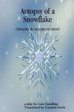 Autopsy of a Snowflake (Autopsia de un copo de nieve)